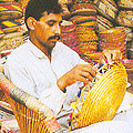 Cane, Bamboo, Reed and Fibre of Pakistan
